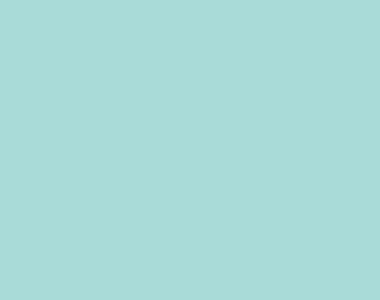 Mint - Plain