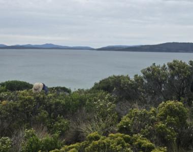 Scenic view of the ocean